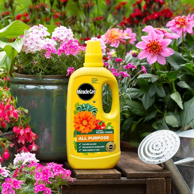 Miracle Gro All Purpose Concentrated Liquid Plant Food, 800ml : Amazon.co.uk: Garden